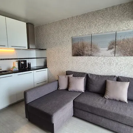 Penthouse Met Groot Terras & Frontaal Zeezicht * Blankenberge